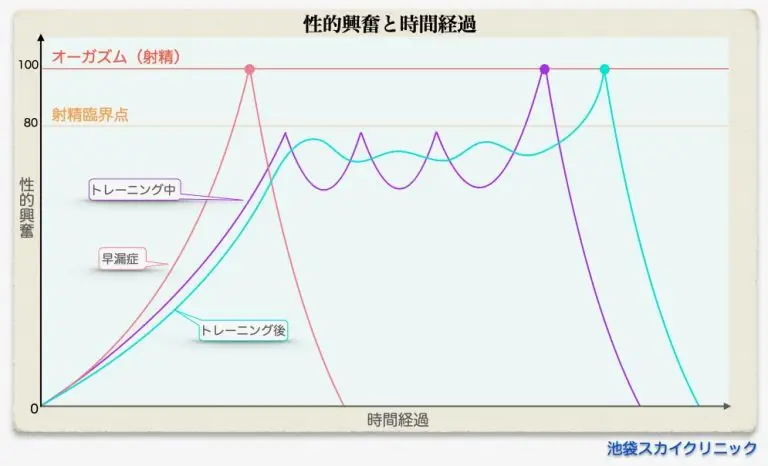 早漏症の行動療法であるストップ-スタート法