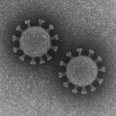 新型コロナウイルス後遺症としてEDが生じることが全世界から報告されている